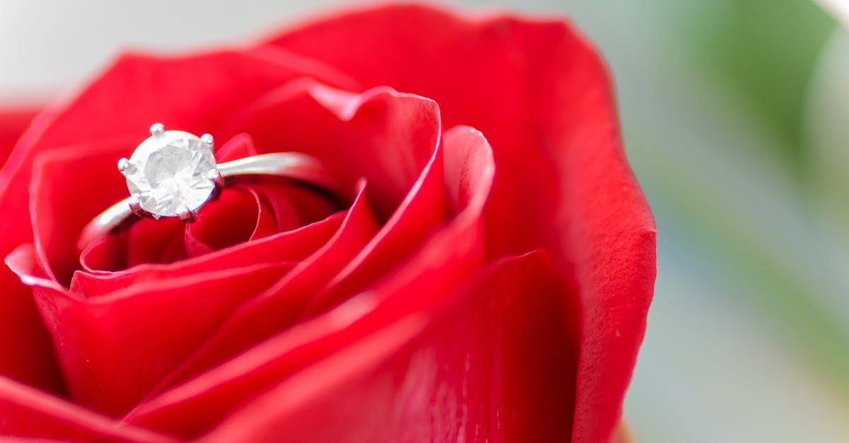 découvrez l'essence de l'amour à travers des histoires touchantes, des conseils relationnels et des réflexions sur la passion et l'amitié. plongez dans un monde où chaque émotion prend vie et où les liens humains sont célébrés.